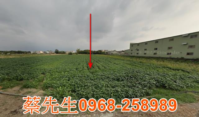 嘉義農地法拍-8