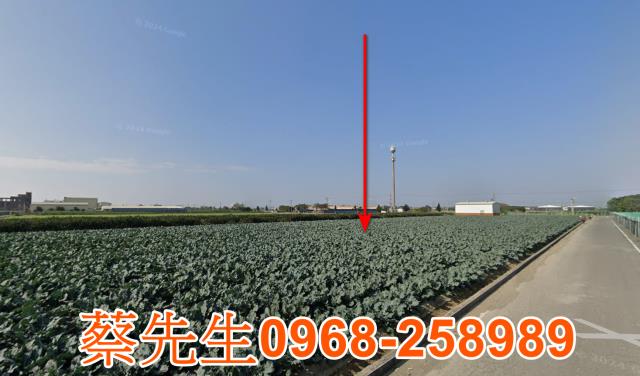 雲林崙背法拍農地-5