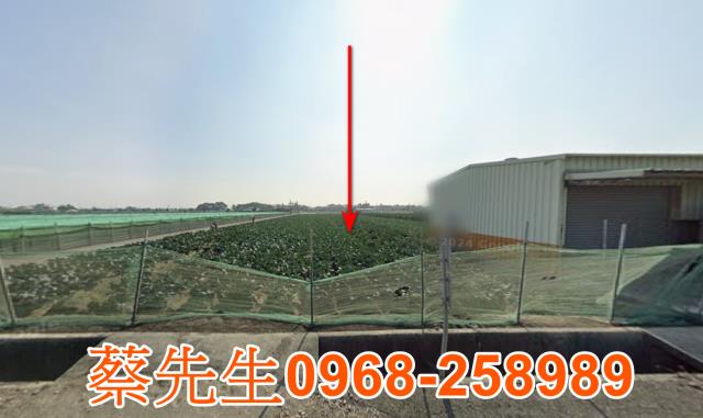 雲林崙背法拍農地-8