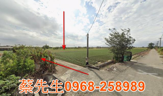 雲林口湖拍賣農地-11