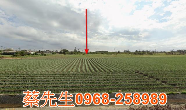 雲林口湖拍賣農地-13
