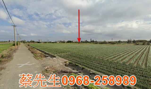 雲林口湖拍賣農地-14