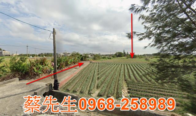 雲林口湖拍賣農地-0