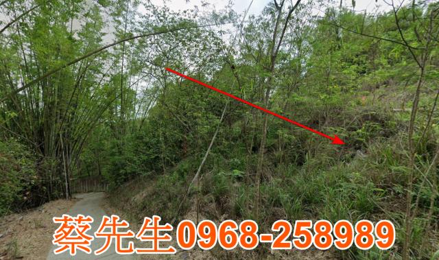 台南新化法拍農地-12