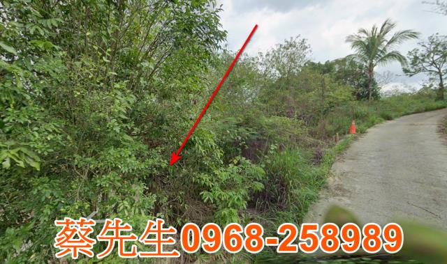 台南新化法拍農地-13