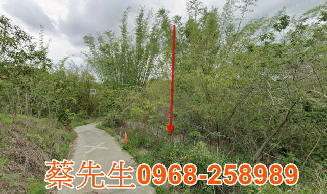 台南新化法拍農地-14