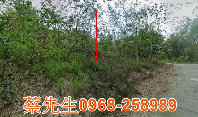 台南新化法拍農地-0