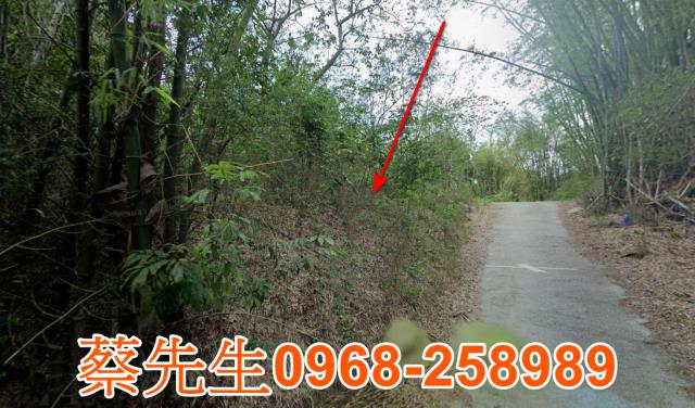 台南新化法拍農地-3