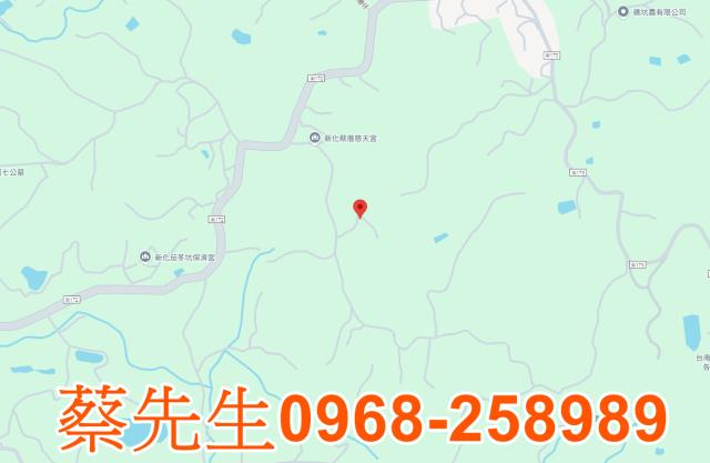 台南新化法拍農地-7