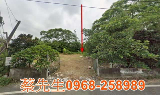 台南左鎮法拍農地-0