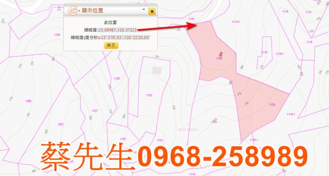 台南左鎮農地法拍-11