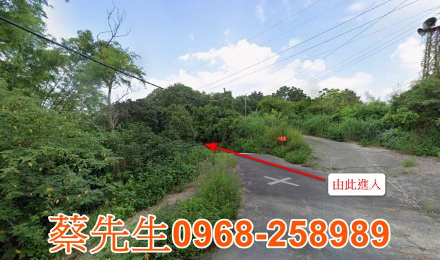 台南左鎮農地法拍-8