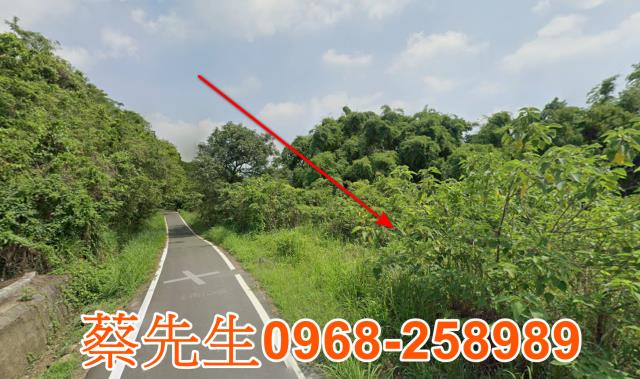 官田農地法拍-11