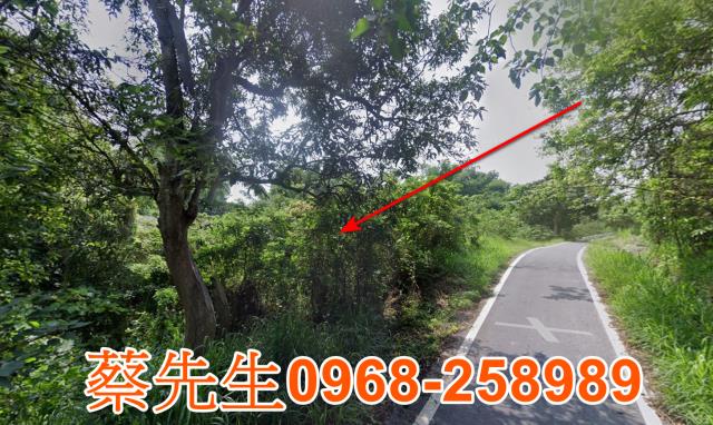 官田農地法拍-14