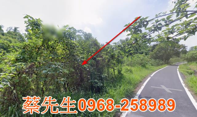 官田農地法拍-5