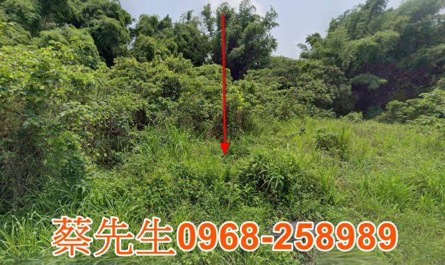 官田農地法拍-8