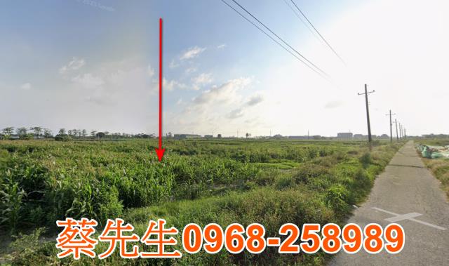 佳里法拍農地-5