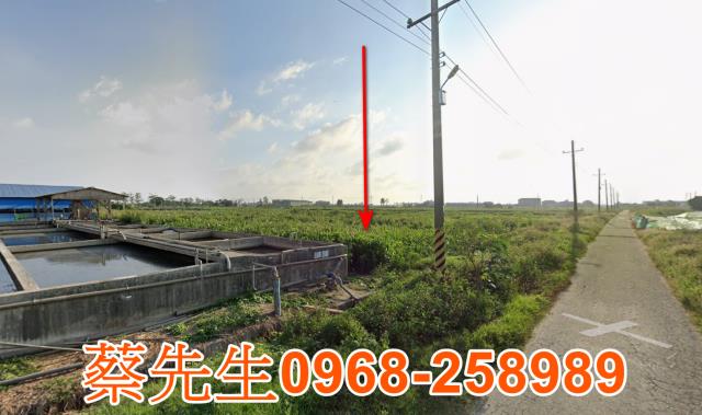 佳里法拍農地-6
