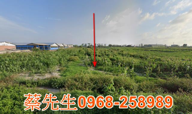 佳里法拍農地-8