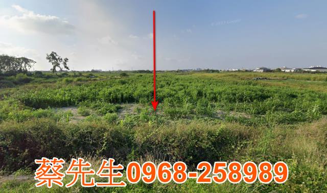 佳里法拍農地-0