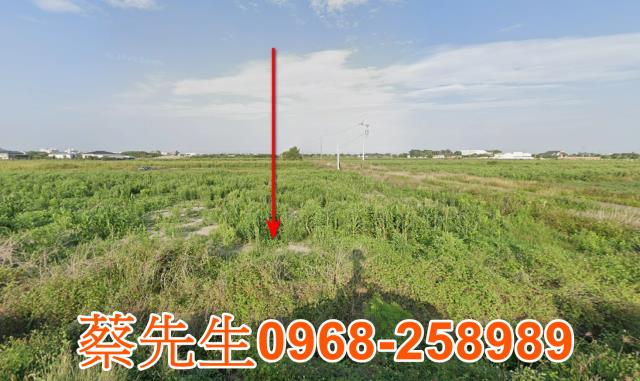 佳里法拍農地-5