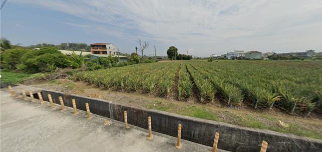 民雄法拍農地-7