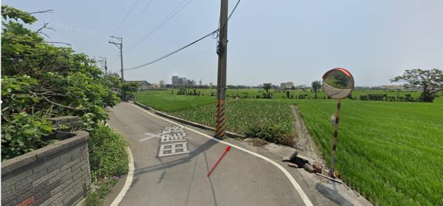 大安區法拍農地-11