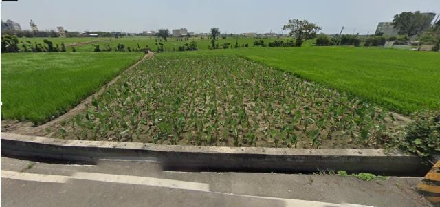 大安區法拍農地-7