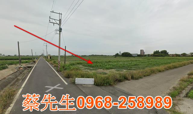 台南農地法拍-12