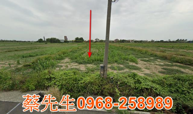 台南農地法拍-0