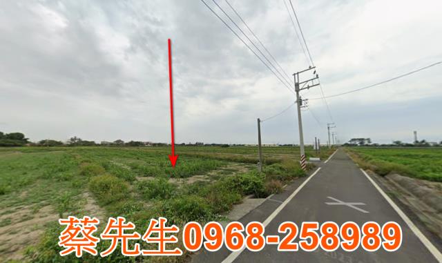 台南農地法拍-5