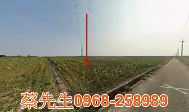 台南法拍農地-11