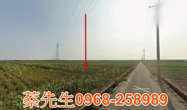 台南法拍農地-12
