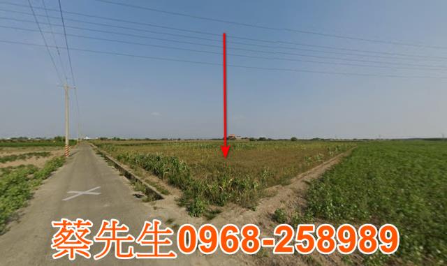 台南法拍農地-13