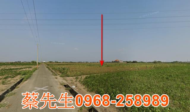 台南法拍農地-14