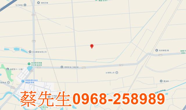 台南法拍農地-7