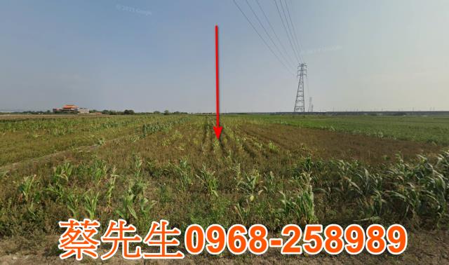 台南法拍農地-8