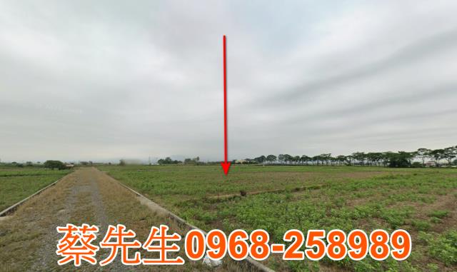 台南法拍農地-13