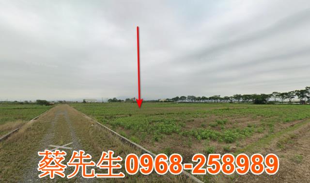 台南法拍農地-14