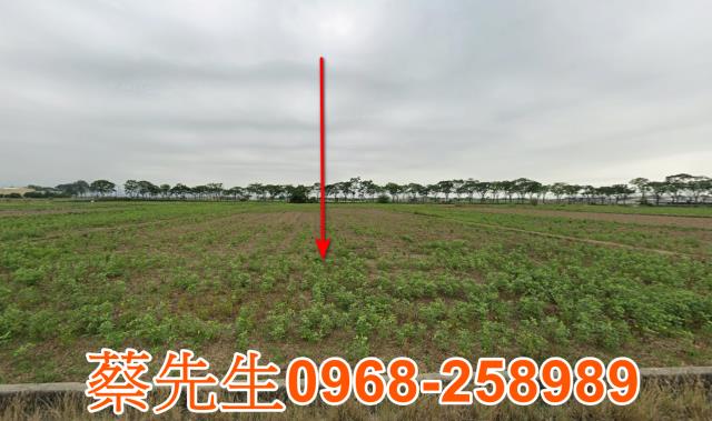 台南法拍農地-0