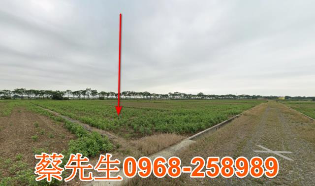 台南法拍農地-3