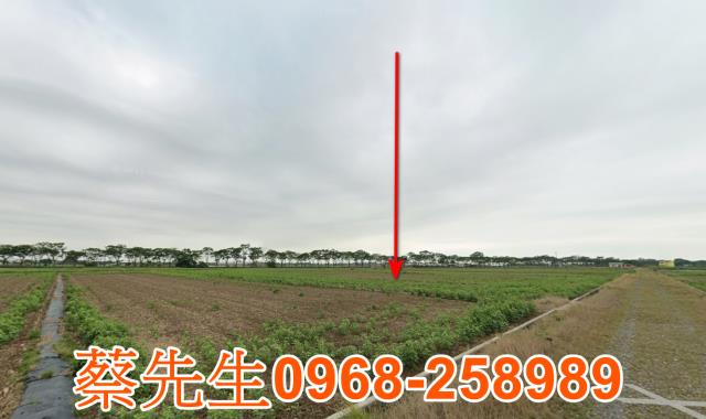 台南法拍農地-4