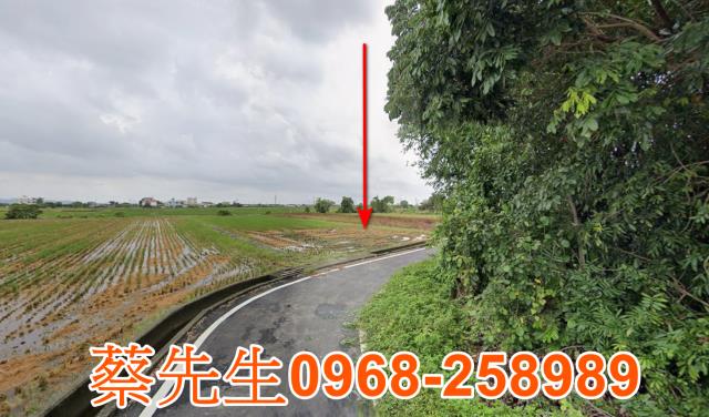 台南農地法拍-5