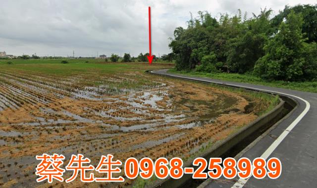 台南農地法拍-8