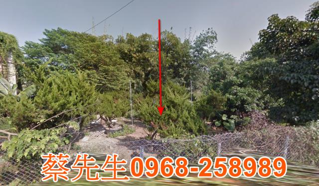 台南拍賣農地-8