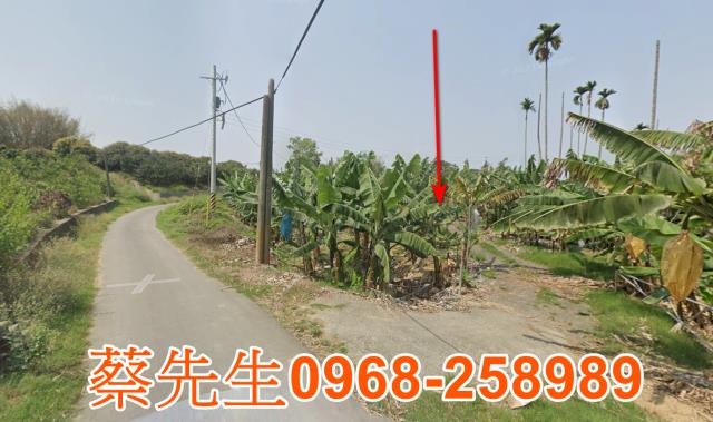 台南白河法拍農地-12