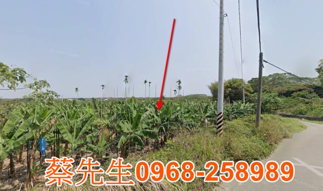 台南白河法拍農地-5