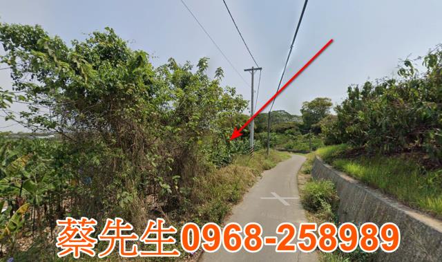 台南白河法拍農地-6