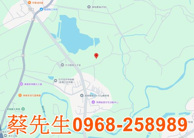 台南白河法拍農地-7