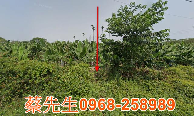 台南白河法拍農地-8